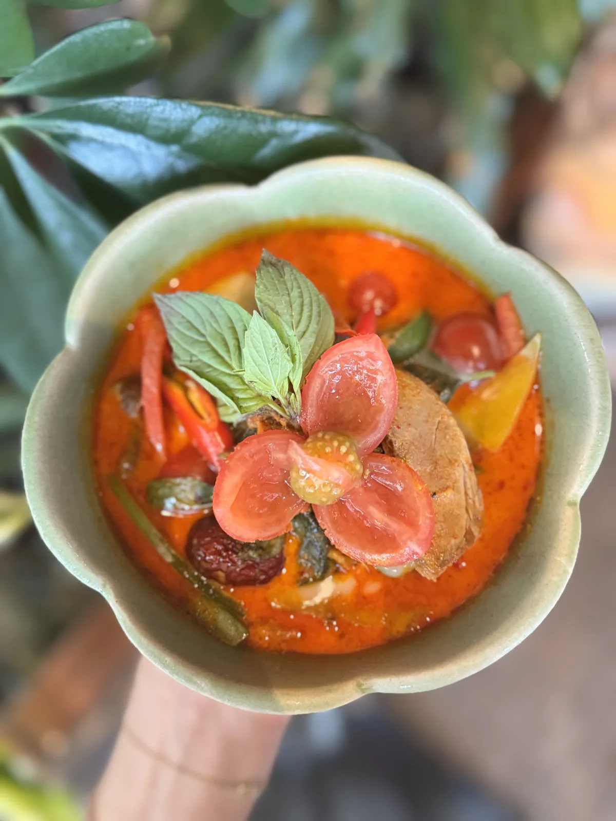 Gäng Däng, rotes Curry, von oben fotografiert